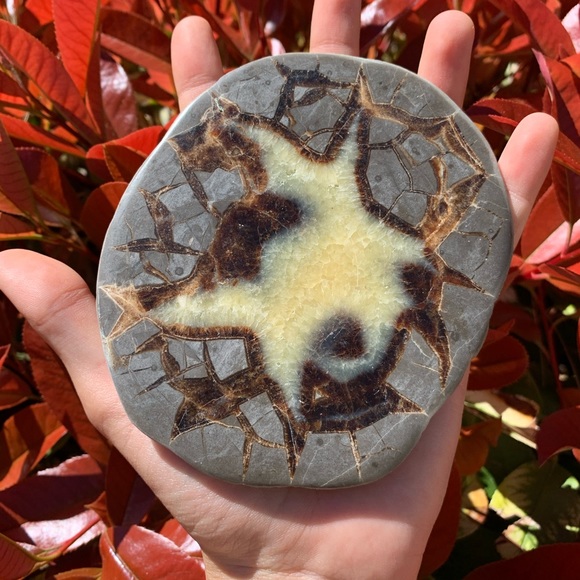 Other - Polished Septarian Dragon Egg Slab